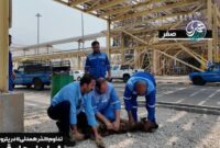 تداوم «نذر همدلی» در پتروشیمی پردیس؛ شمار دام‌های قربانی‌شده به ۱۰۰ رأس رسید