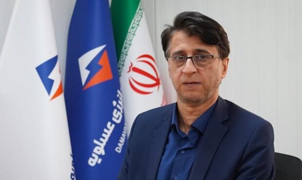 رضا فرزادی مدیرعامل دماوند انرژی عسلویه شد